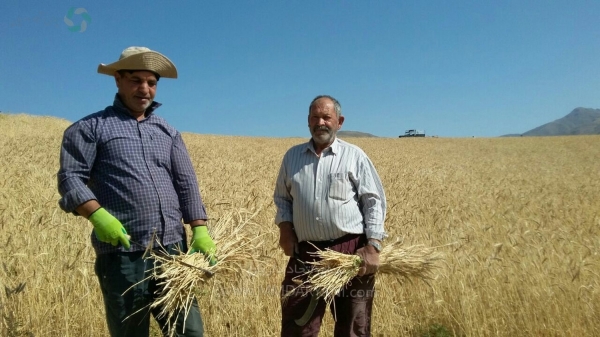 تصاویر خاطره انگیز  Kh-5